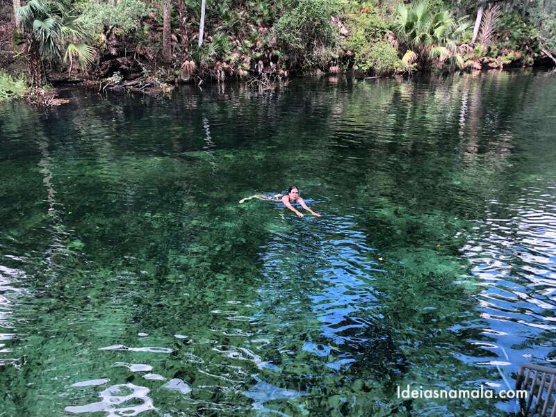 Springs da Flórida: 10+ Piscinas naturais lindas pertinho de Orlando