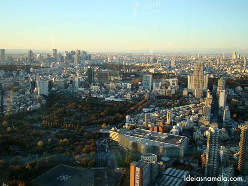 O que fazer em Tokyo: ver a cidade do alto da Tokyo City View