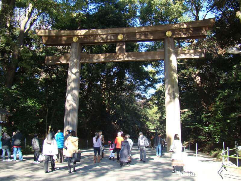 Tokyo e seus templos? Meiji Jingu é um excelente passeio para um dia mais tranquilo