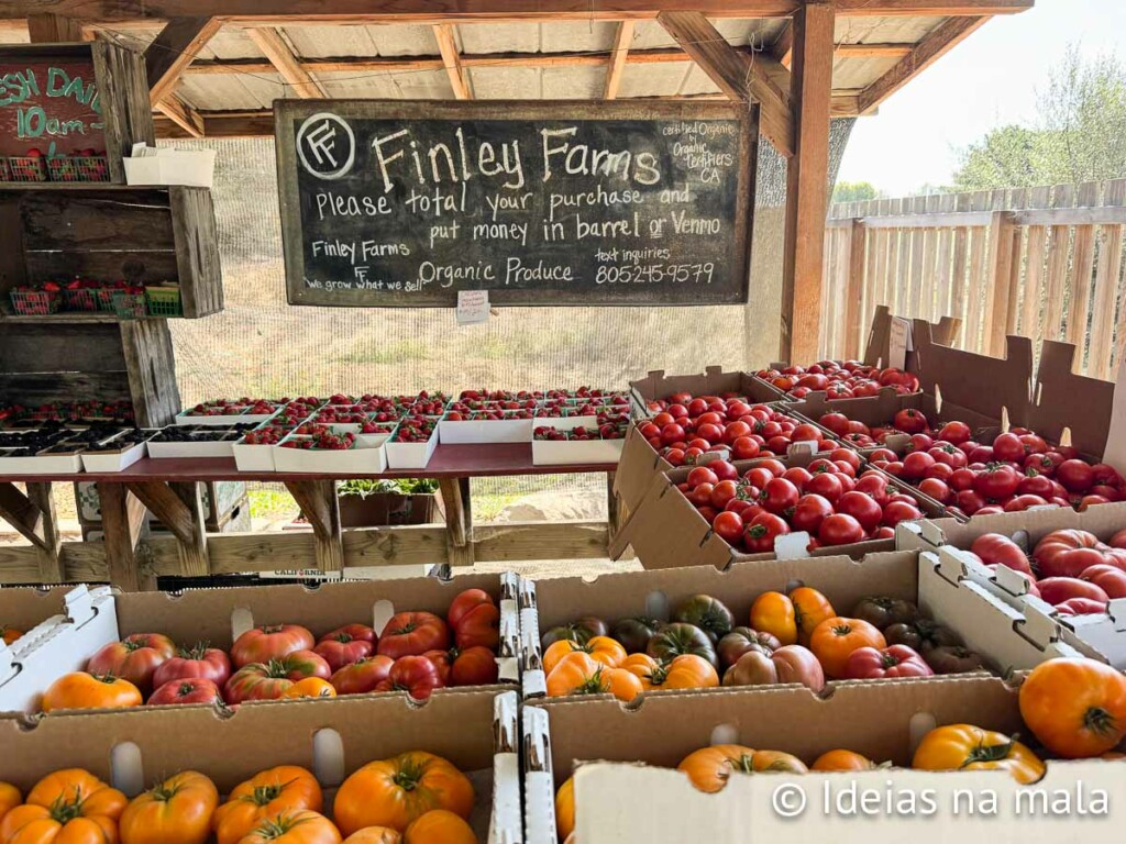 Finley Farms em Santa Ynez Valley