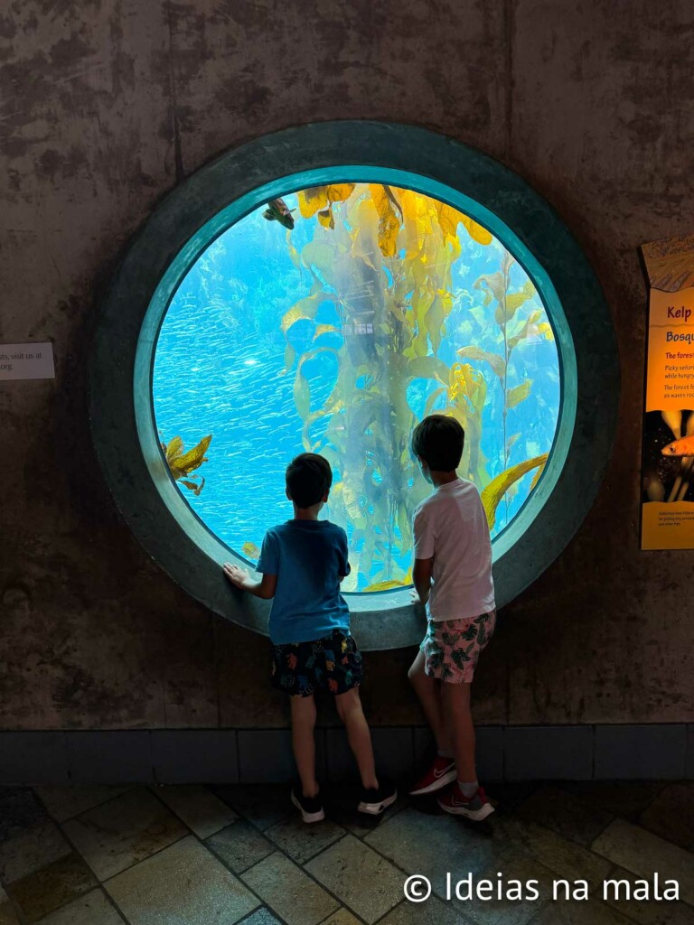 que fazer em Monterey? Vale a pena se hospedar em Monterey?