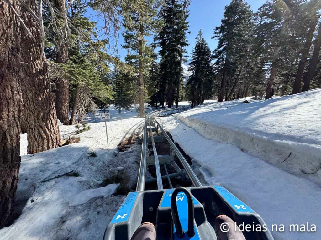 Descendo em alta velocidade na Montanha Russa Alpina