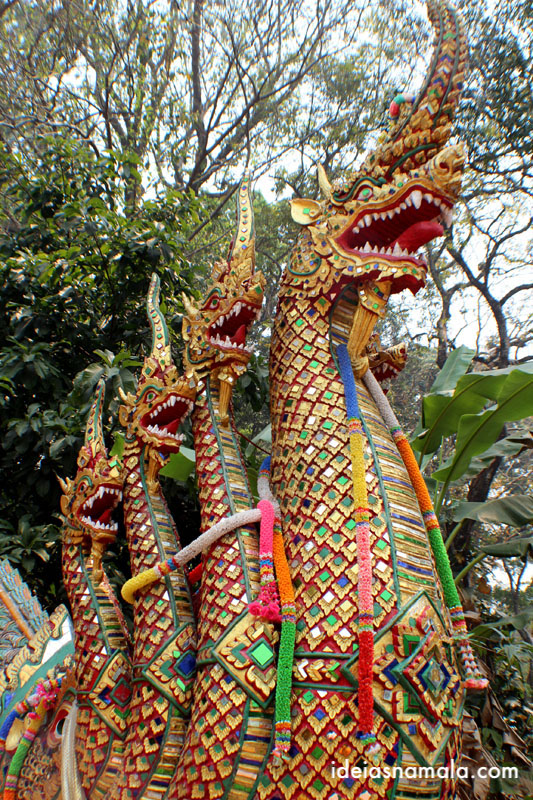 Serpente colorida do templo Do Sutep em Chiang Mai