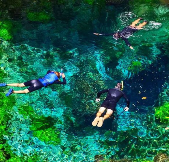 O que fazer em Bonito, Mato Grosso do Sul: 10 passeios imperdíveis O que fazer em Bonito, Mato Grosso do Sul: 10 passeios imperdíveis