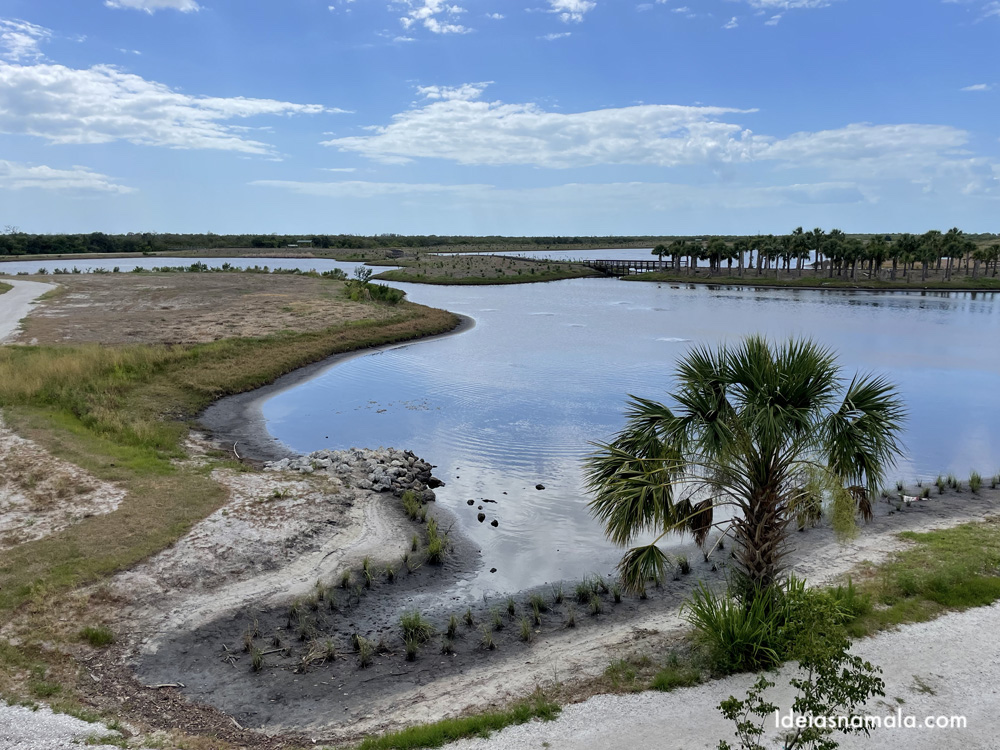 Robinson Preserve um parque sensacional em Bradenton na Flórida