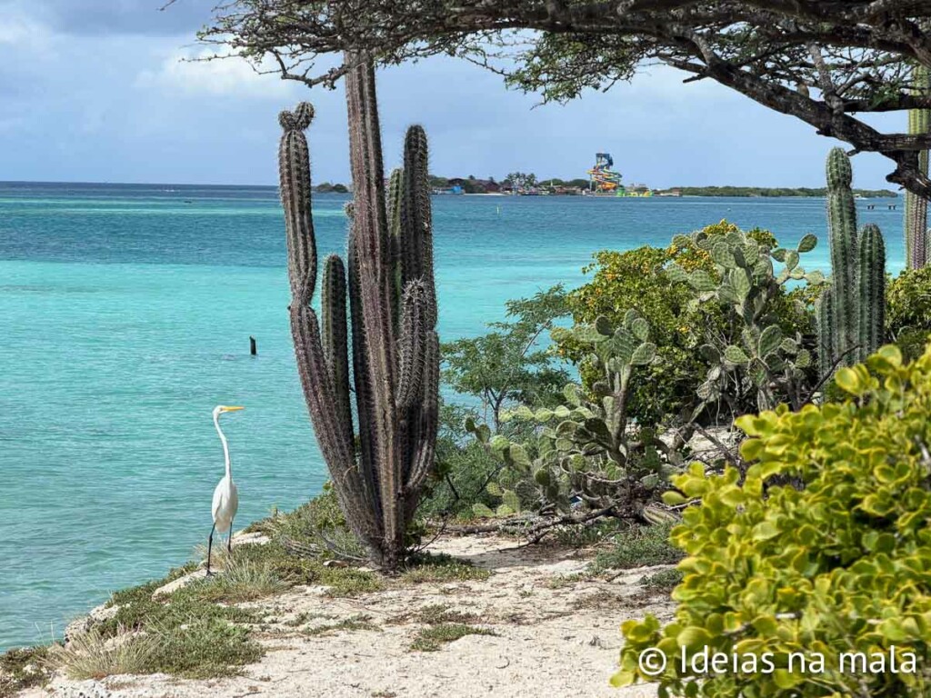 Roteiro Aruba: a ilha mais feliz do Caribe