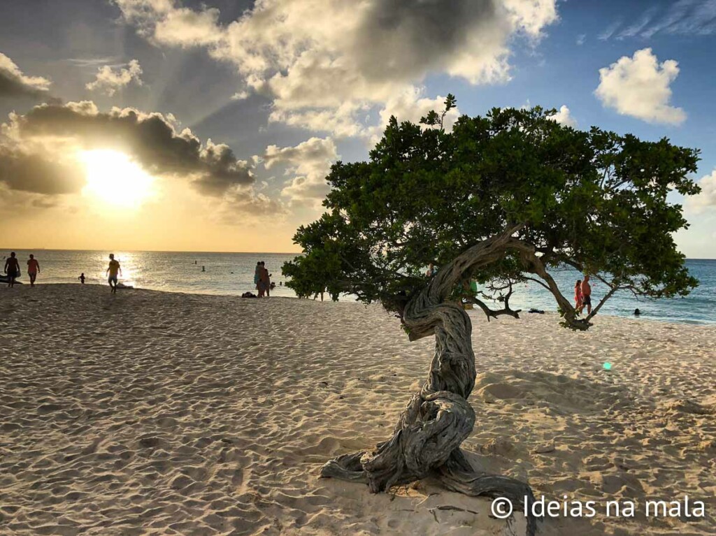 Eagle Beach uma das praias mais lindas do mundo - Aruba