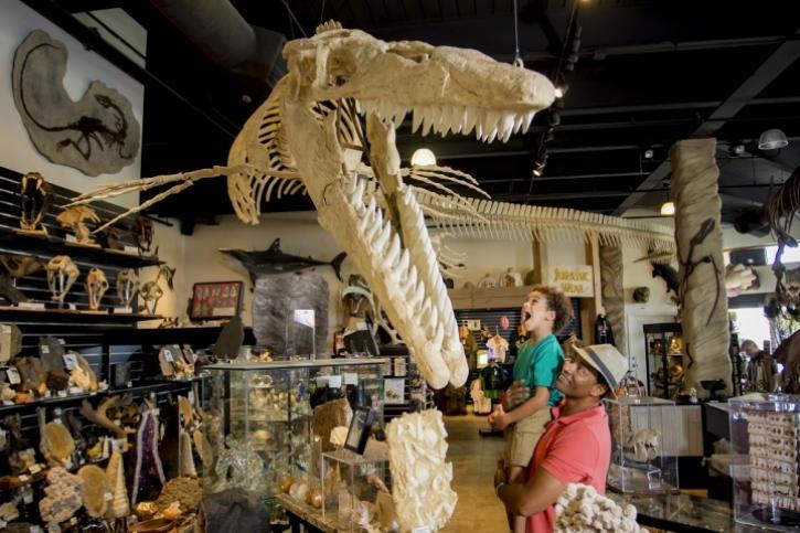 Dinosaur Store em o que fazer em Cocoa Beach