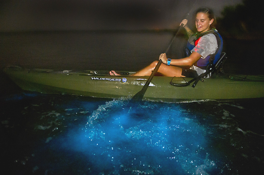 Caiaque noturno e bioluminescencia em Cocoa Beach