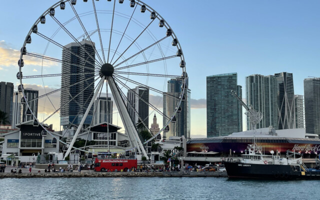 Skyviews Miami, a Roda Gigante Miami