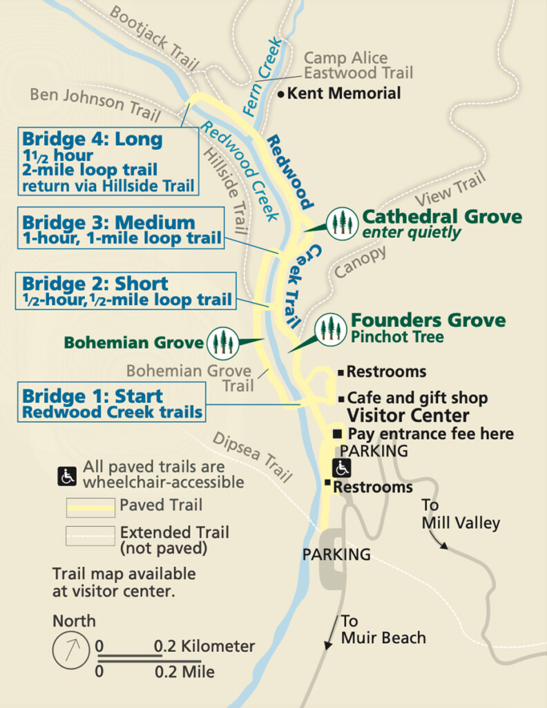Mapa de trilhas do Muir Woods