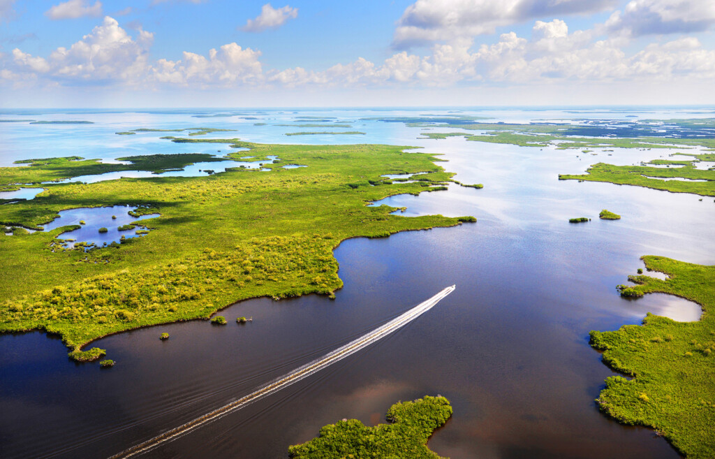 Everglades National Park visto do alto