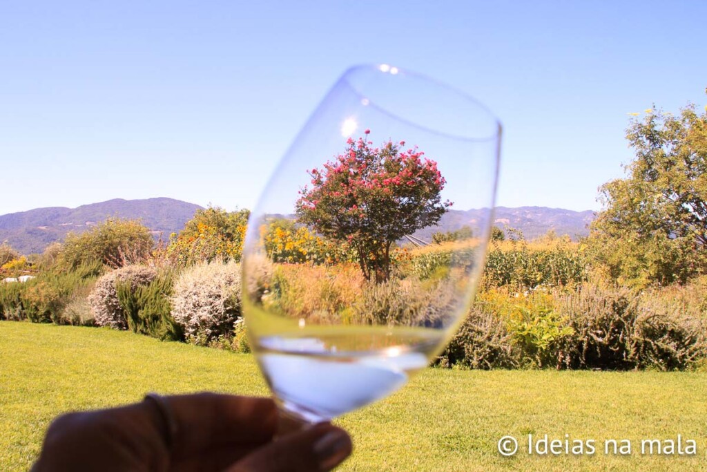 Degustação de vinhos no Jardim da Frog's Leap