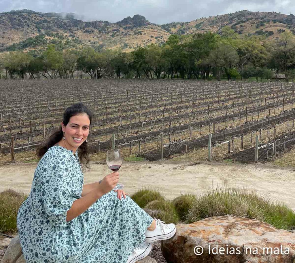 Stag's Leap, uma das vinícolas premiadas de Napa Valley