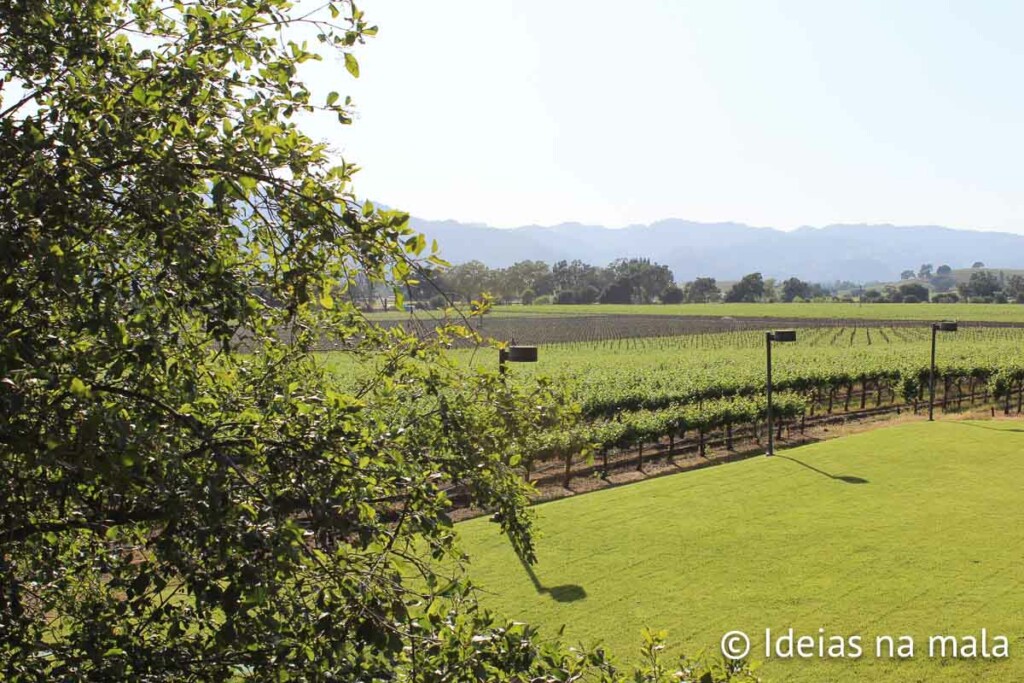 Videiras da Mumm em Napa Valley