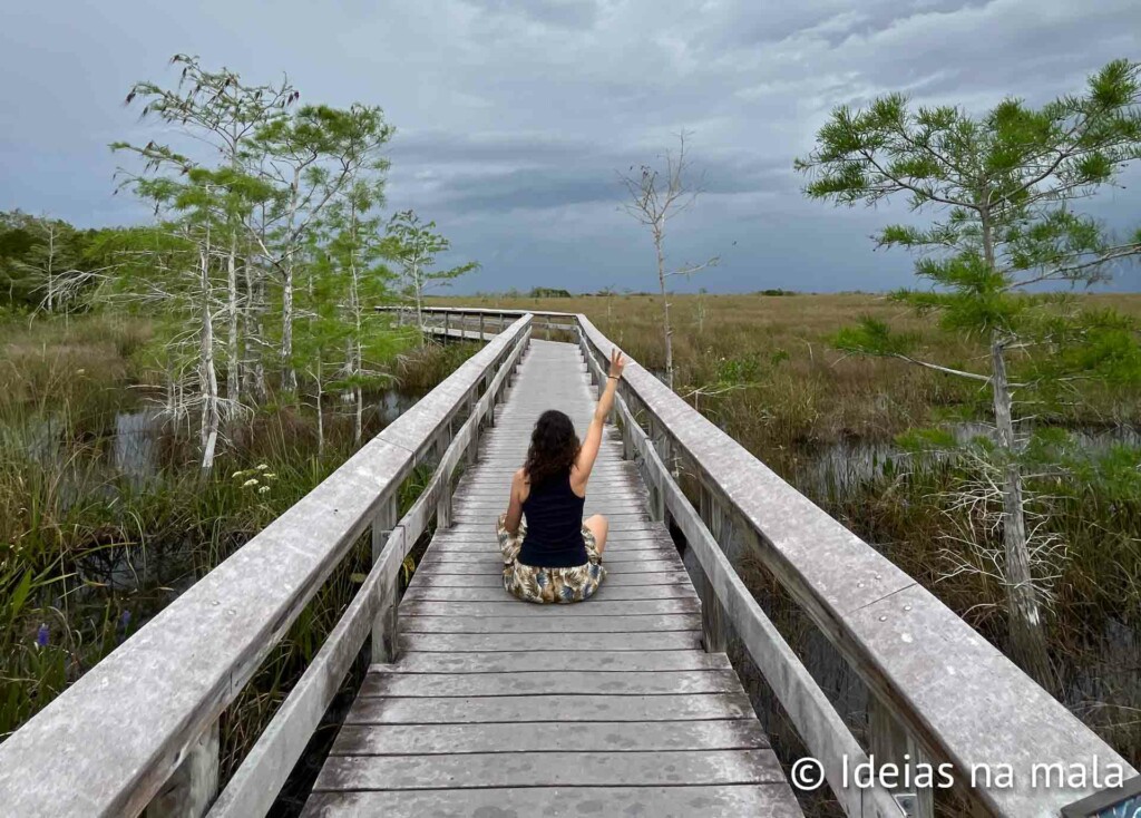 Pahayokee Overlook no Everglades: uma chance de ver o rio de grama do alto