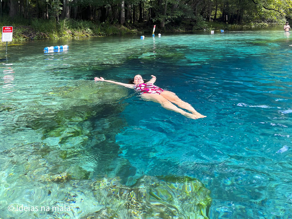 Locais para praticar o paraquedismo na Flórida - Florida Mais!