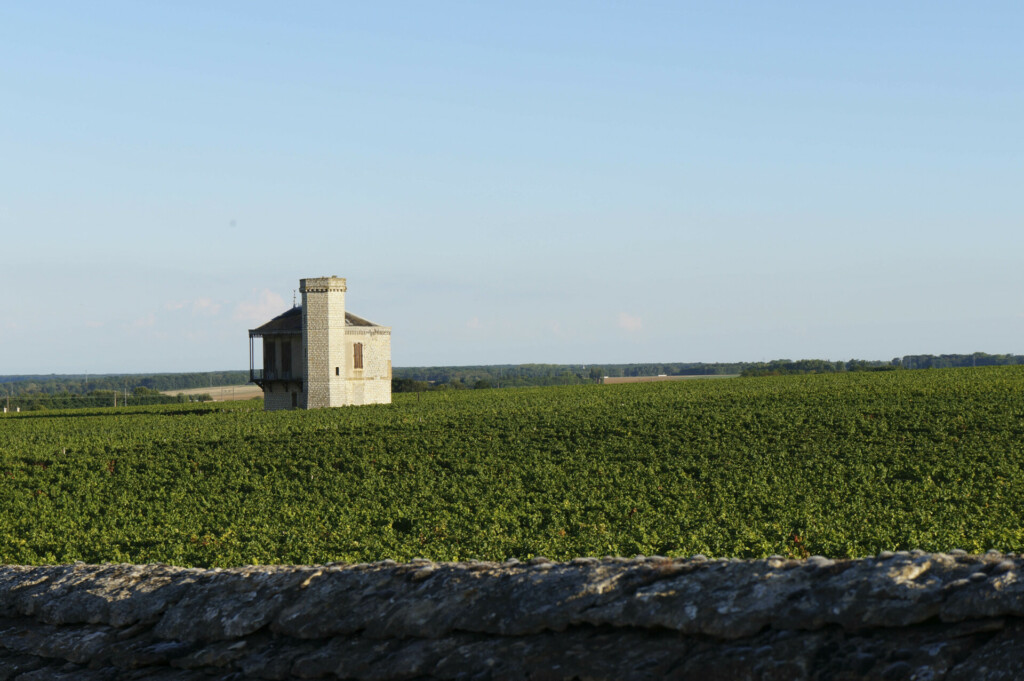 roteiro de 3 dias de bicicleta pela rota do vinho na Borgonha. Vinhedos mundialmente famosos por toda parte.