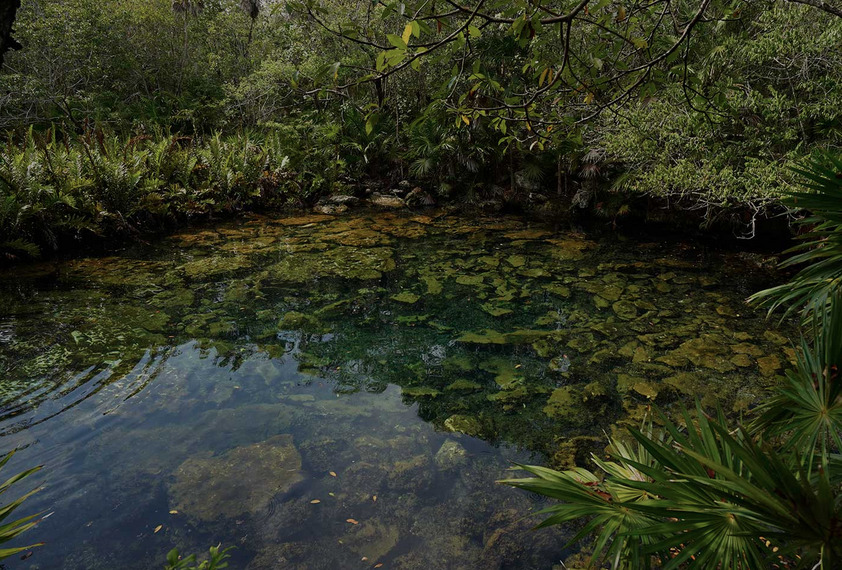 O Cenote Caleta Tancah fica dentro de um hotel à beira-mar em Tulum