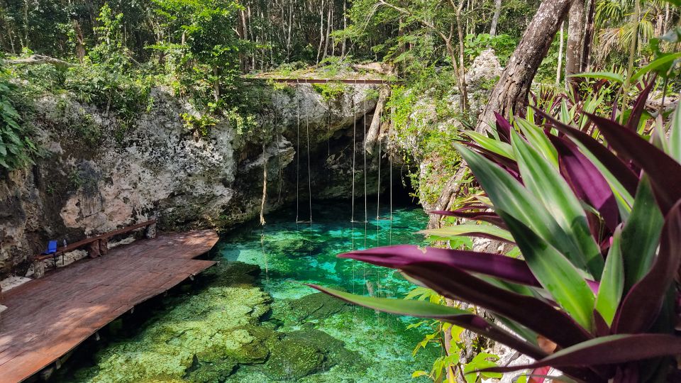 Os melhores cenotes de Tulum: Cenote Mariposa