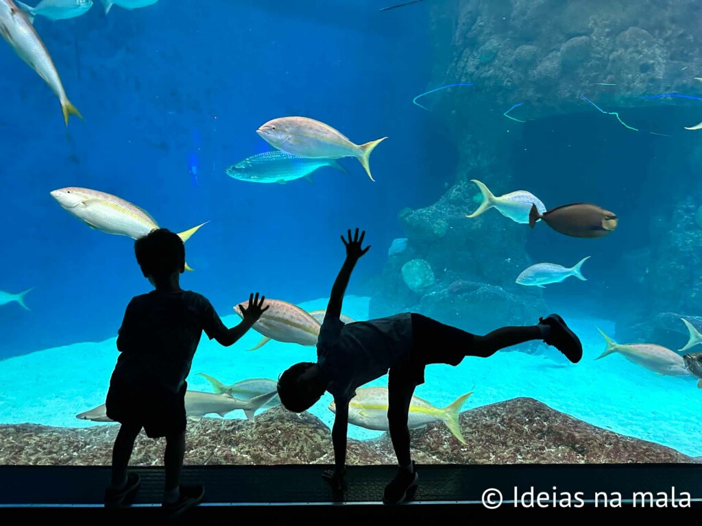Florida Aquarium em Tampa com crianças