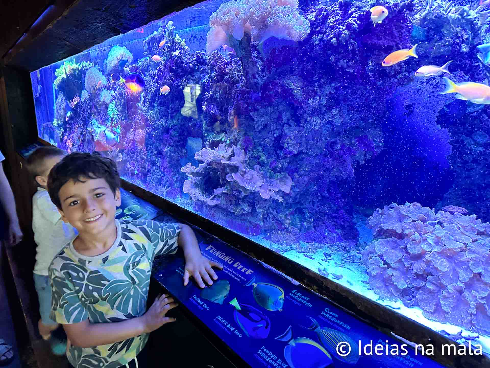 Florida Aquarium em Tampa com crianças
