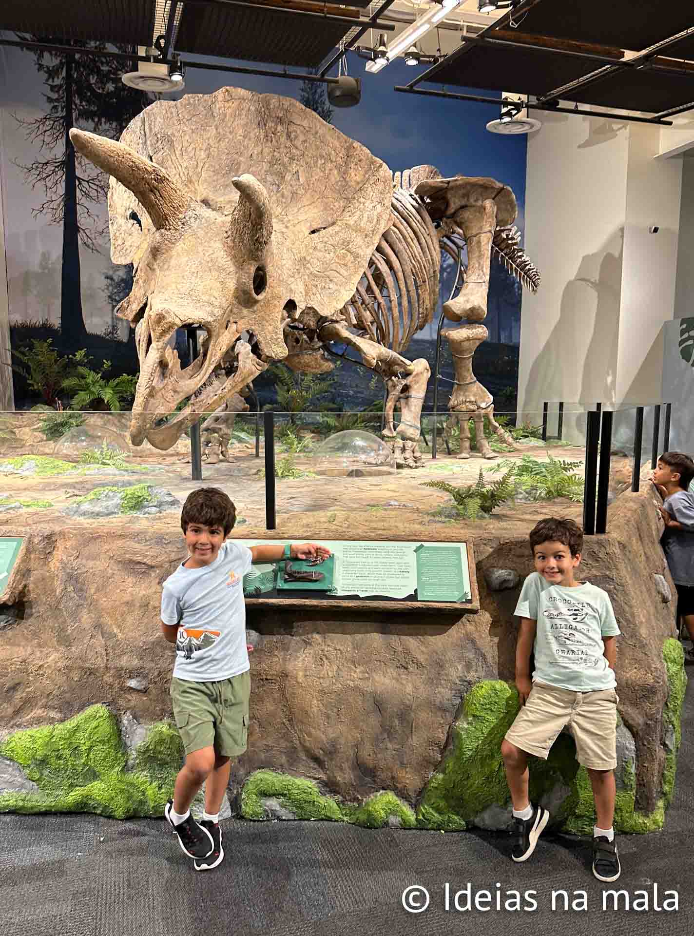 Dinossauros no Glazer Children's Museum