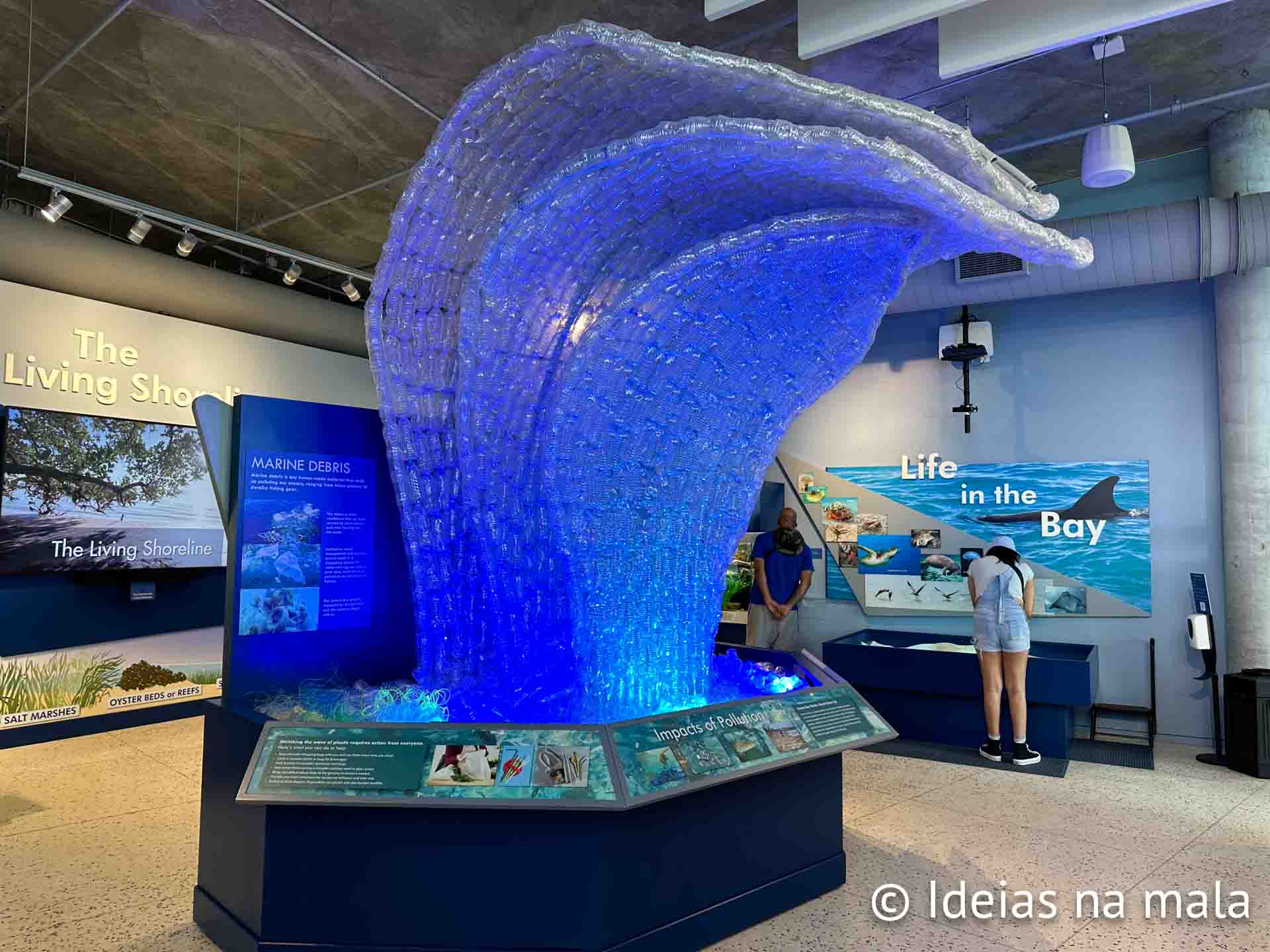One second Wave no Tampa Bay Discovery Center