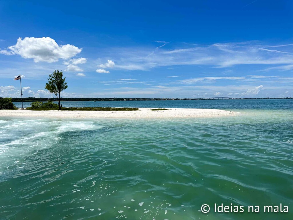 o que fazer em clearwater com crianças - Safari marinho