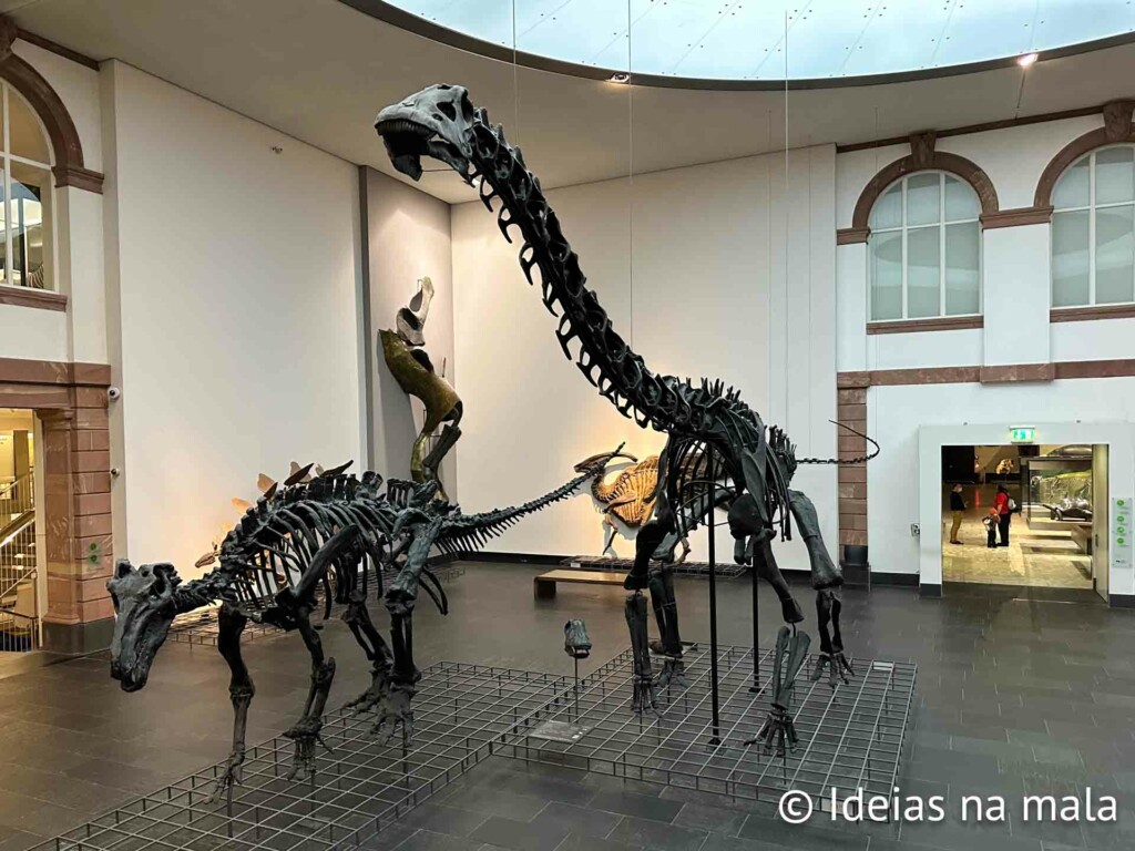 Dinossauros no Museu de História Natural Senckenberg