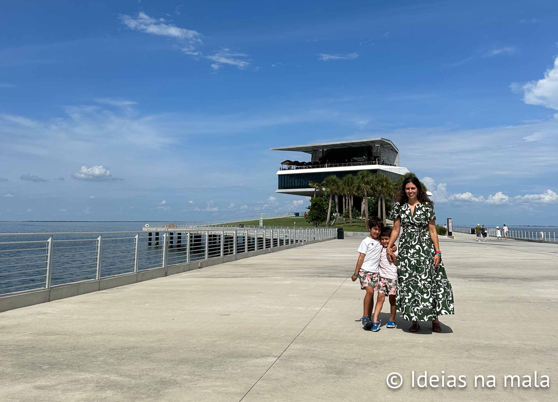 Cidade das Artes - Programação - O pirata que não gostava de tomar