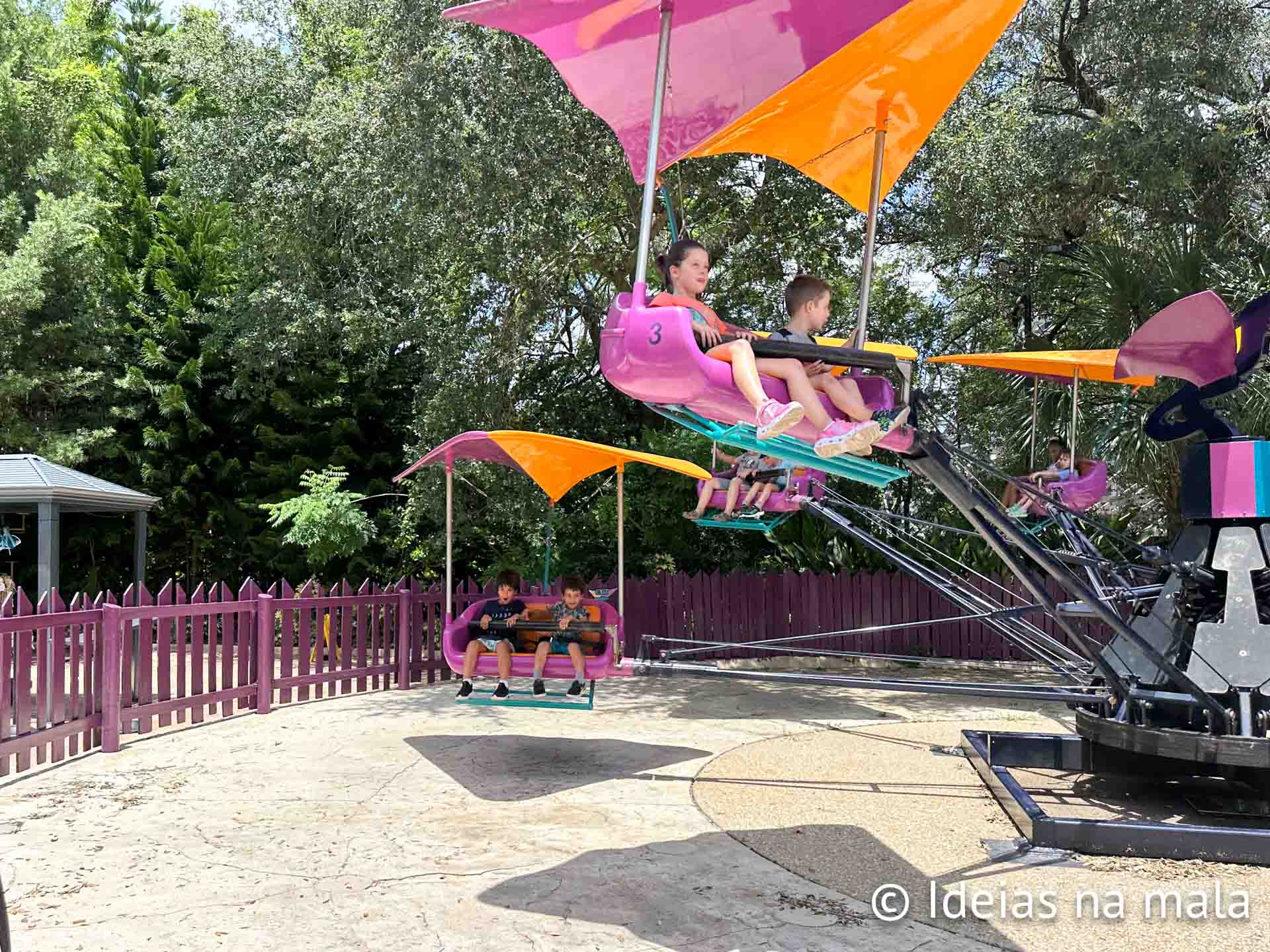 Gwazi Gliders, uma das atrações infantis do Busch Gardens