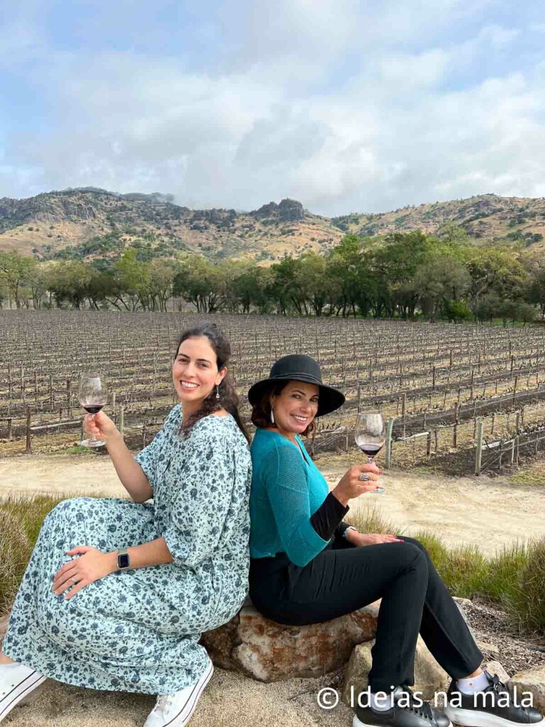 Napa Valley, a principal região vinícola da Califórnia
