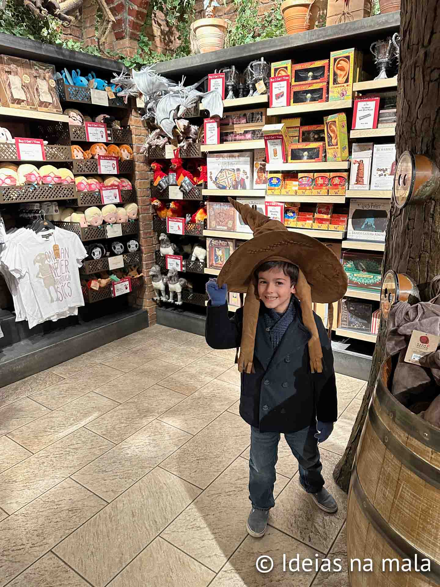 Harry Potter Store em Nova York com crianças