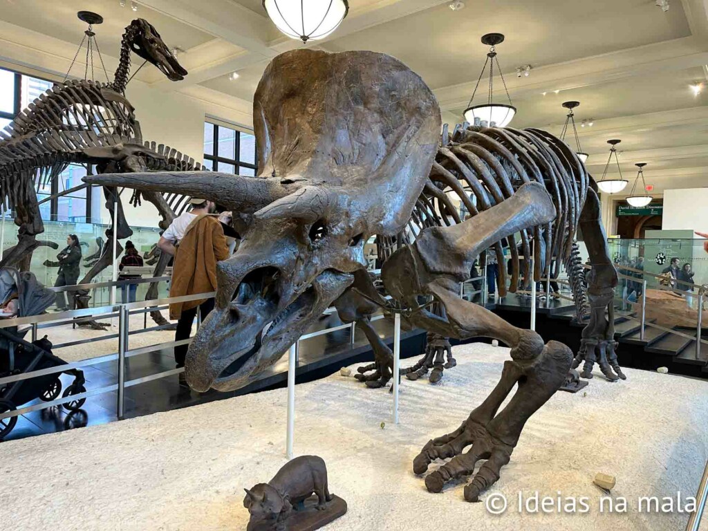 Dinossauros: um clássico do Museu de história Natural de NYC