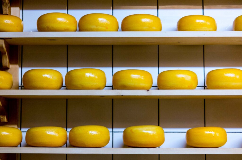 como visitar uma fabrica de queijos holandeses