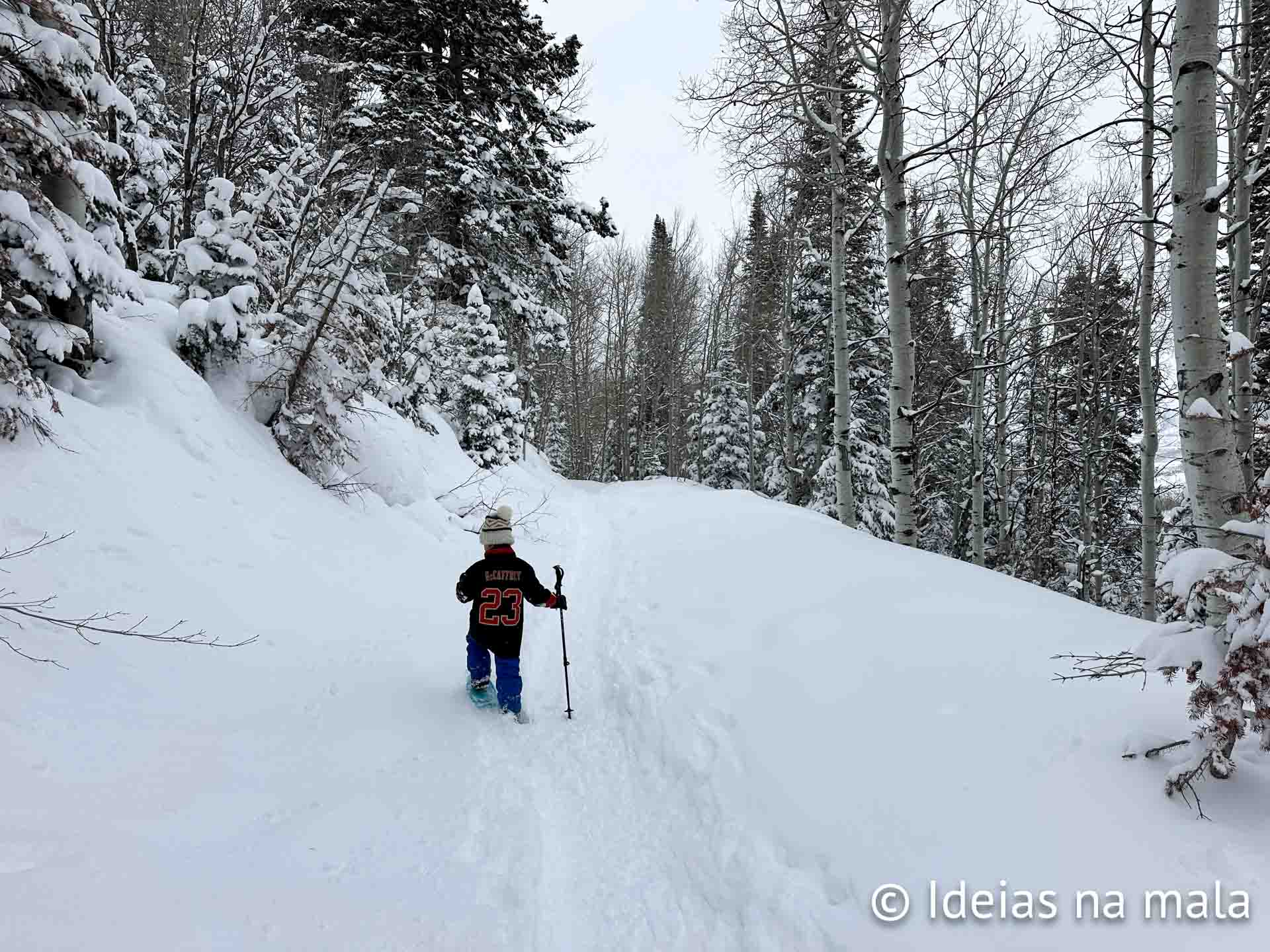 Caminhada com sapatos de neve em Park City