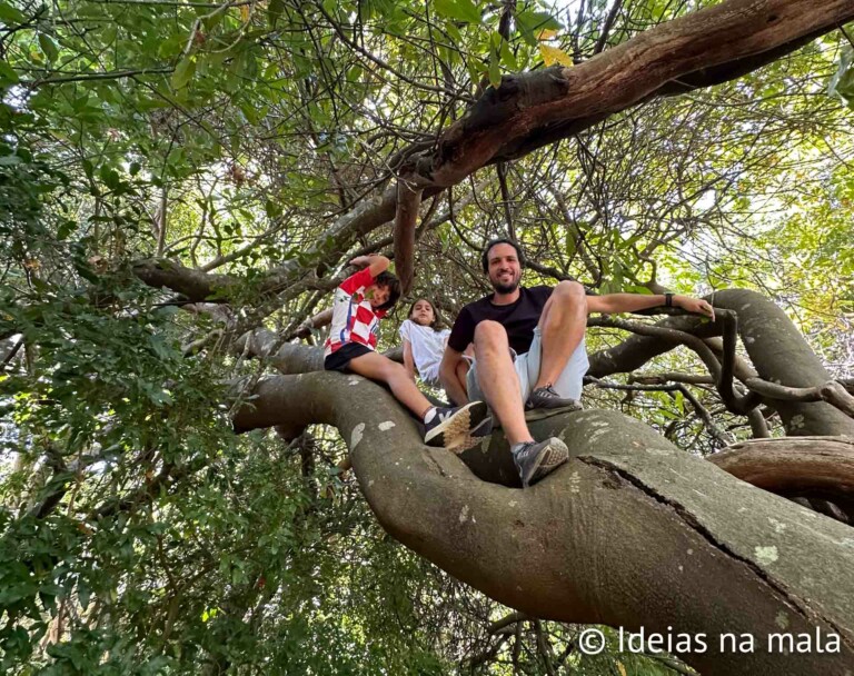 África do Sul com crianças: melhor guia pra uma viagem com safári