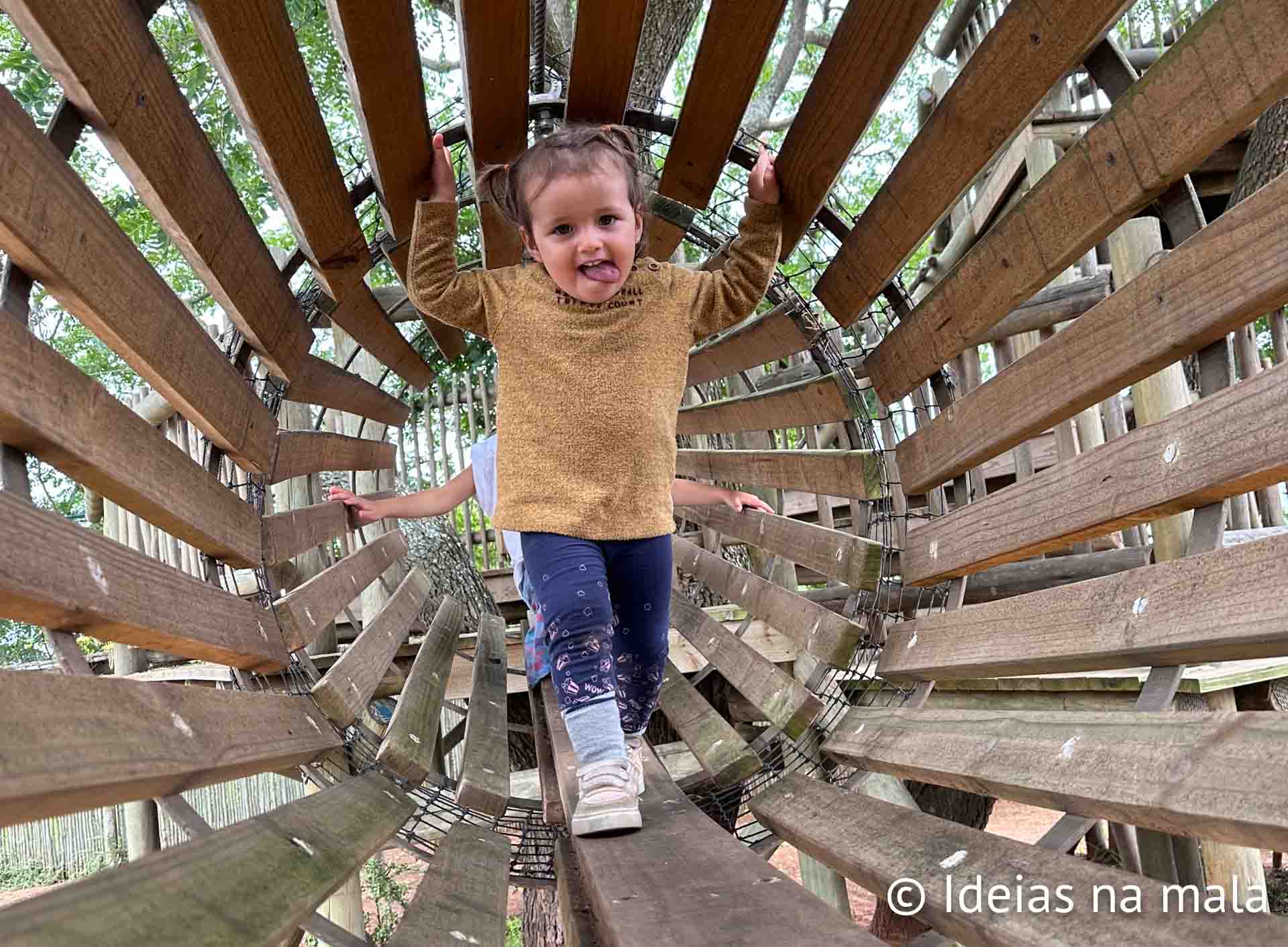 África do Sul com crianças: melhor guia pra uma viagem com safári
