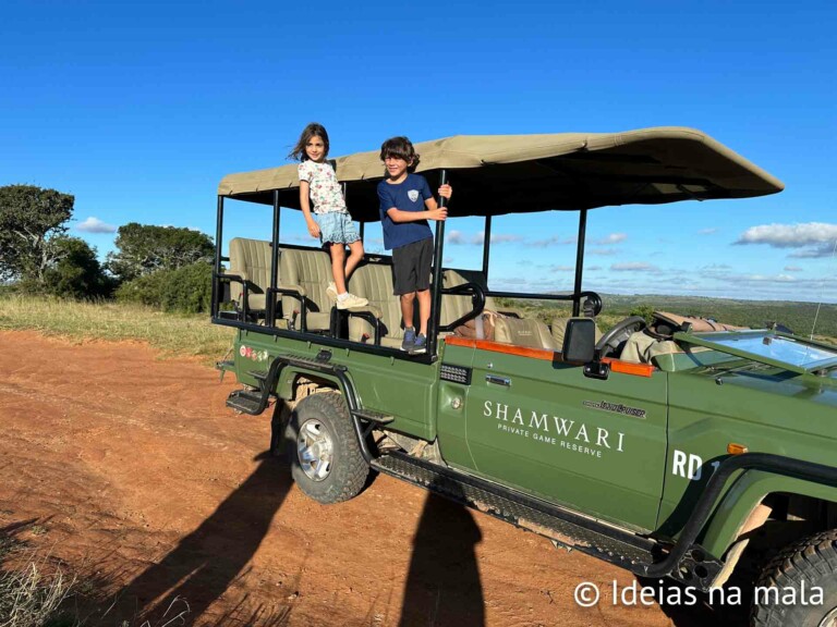 África do Sul com crianças: melhor guia pra uma viagem com safári