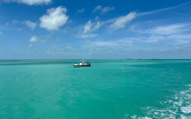 Mar azul esverdeado em Isla Morada, parte de Florida Keys