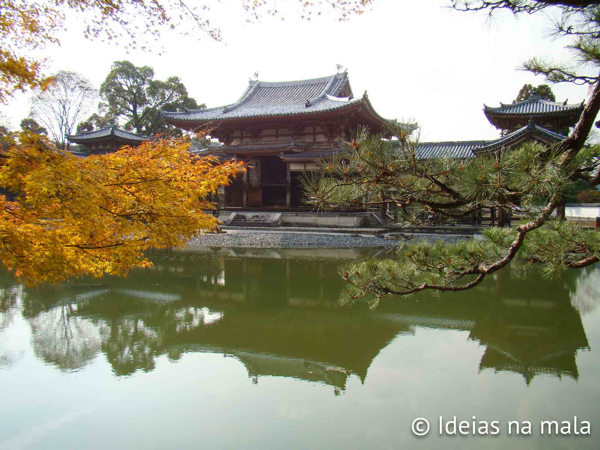 vale a pena visitar o Templo Byodoin em uji no japão