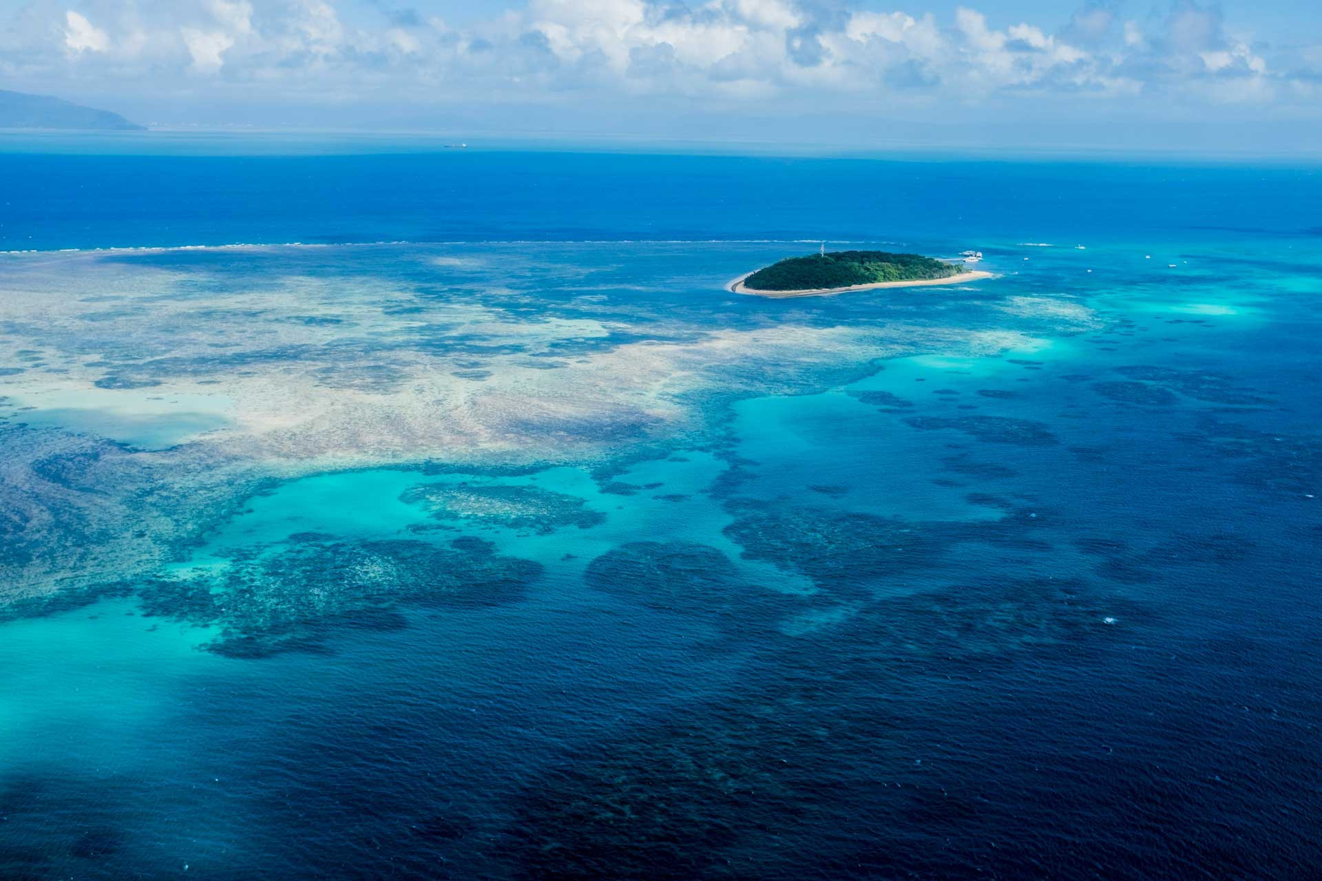 como ver a Grande barreira de Corais de Cairns na Austrália