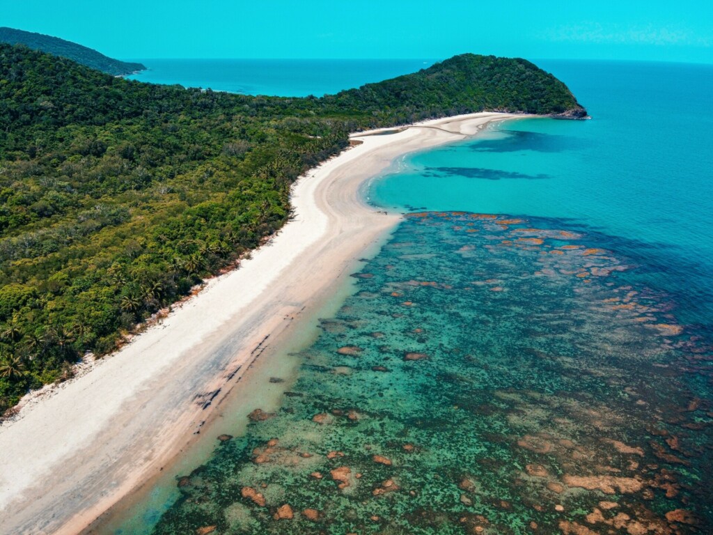 Daintree Rainforest em cairns na Austrália