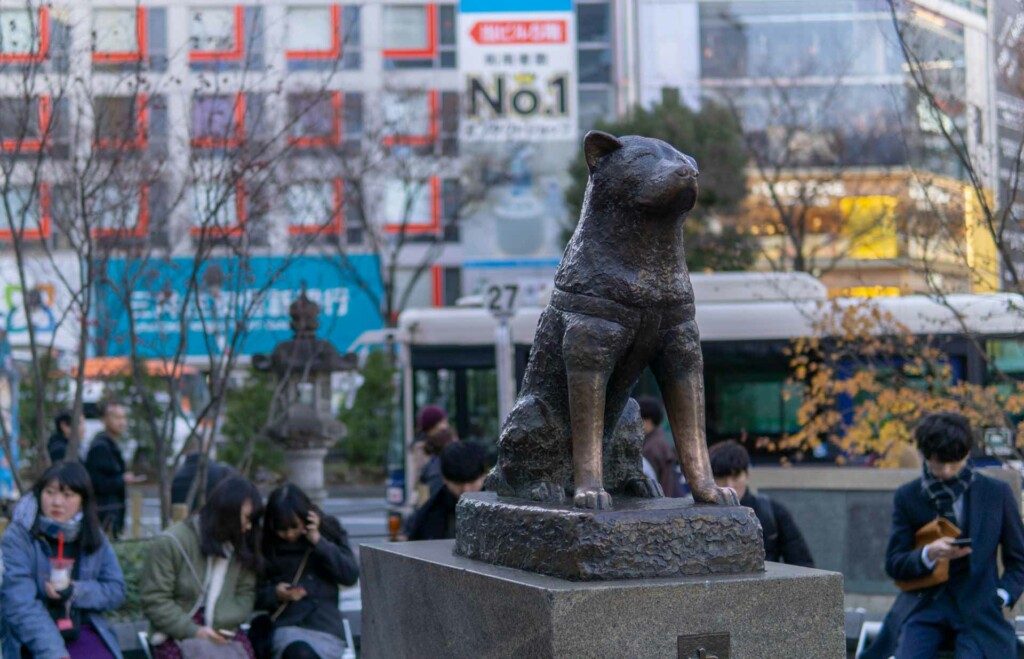 onde fica a estátua de Hachiko em Tokyo no japão