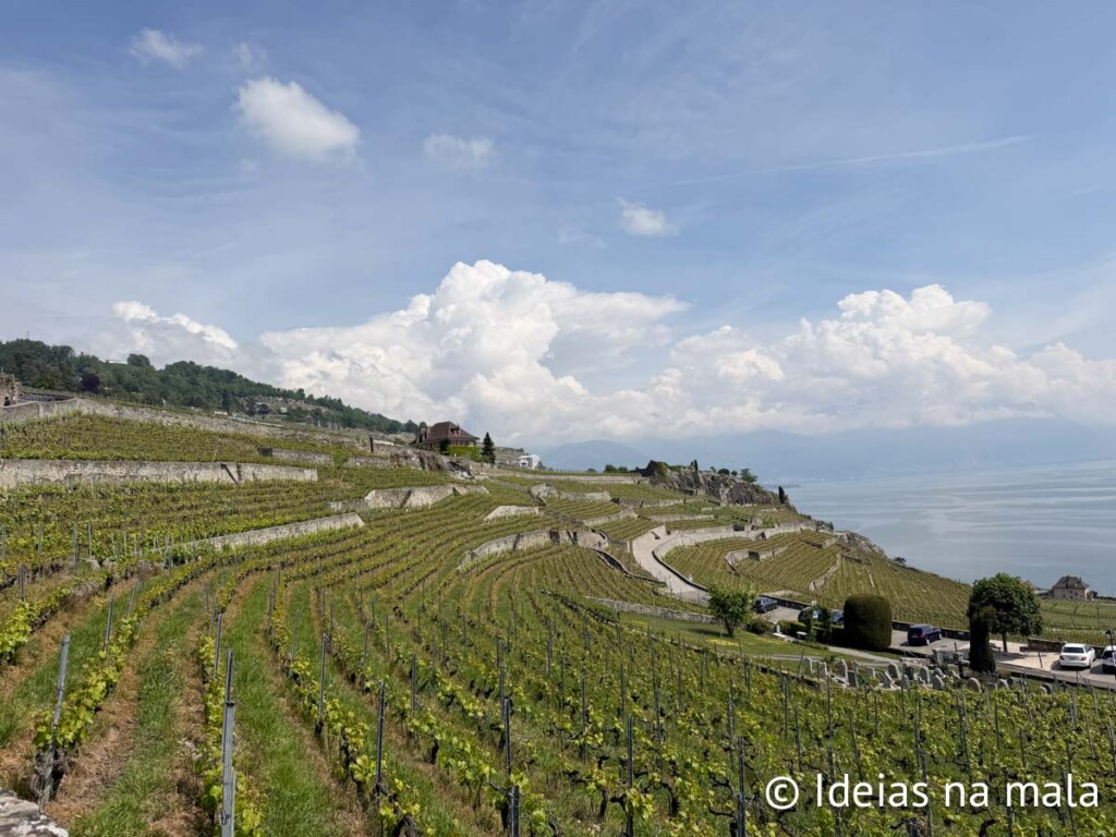 Terraços vinícolas de Lavaux
