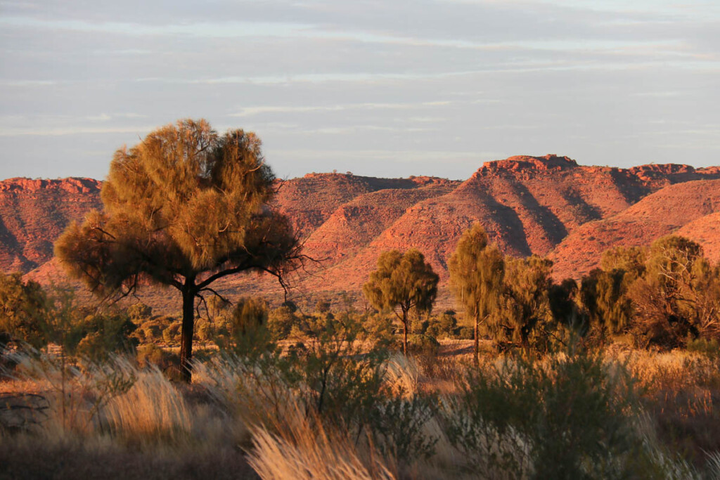 que fazer no deserto australiano