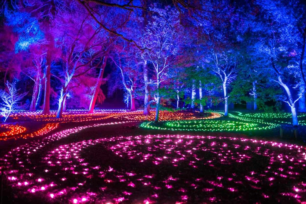 Lightscape, no Brooklyn Botanic Garden,