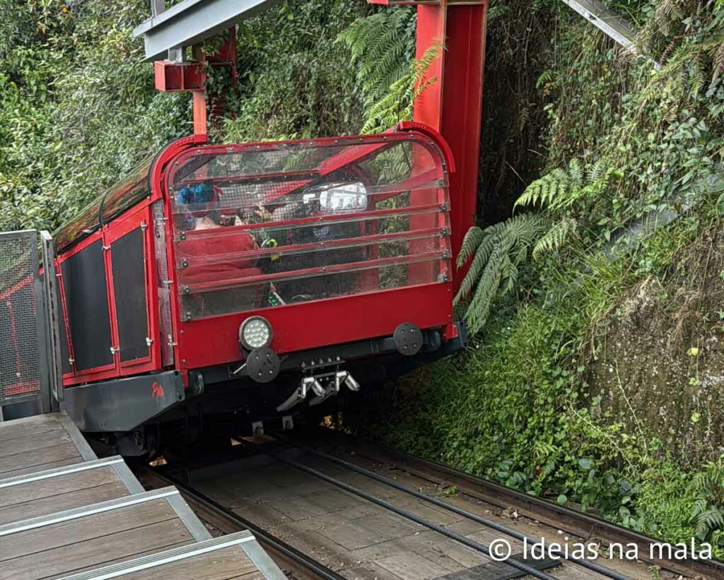 vale a pena ir no Scenic World?