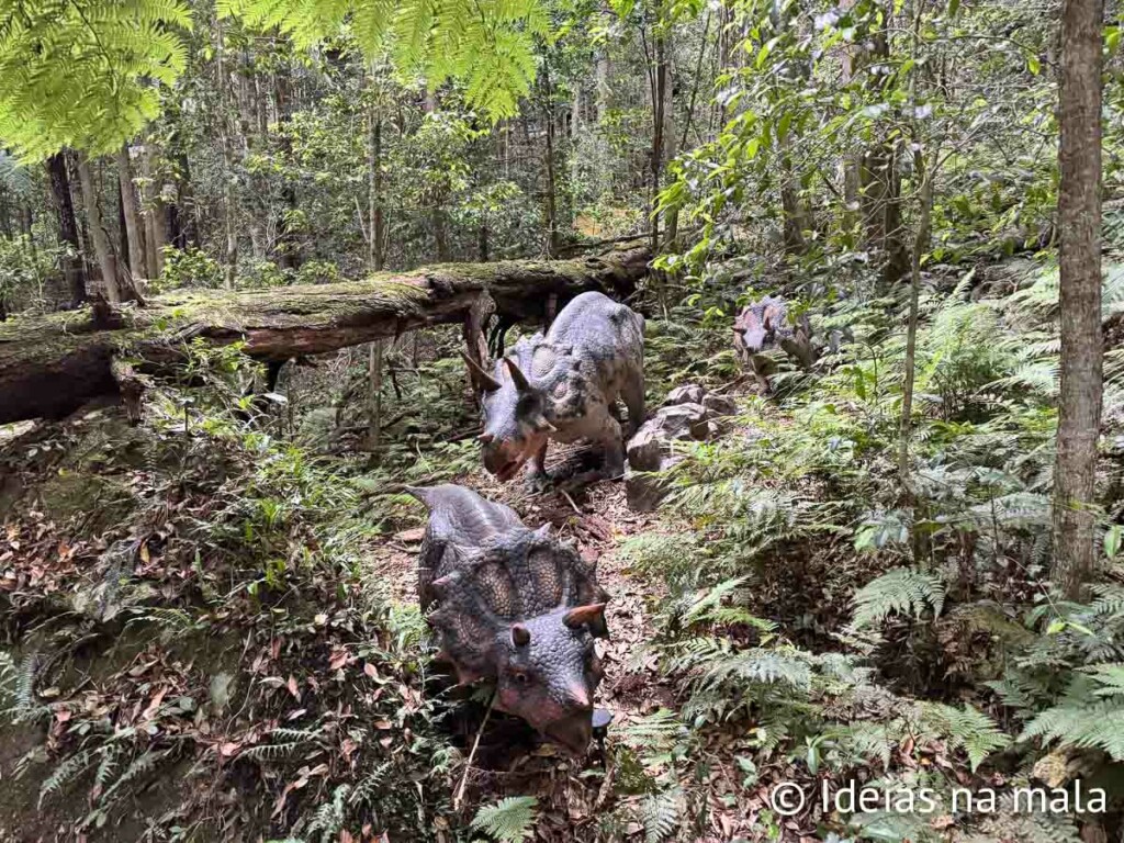 Scenic World com crianças